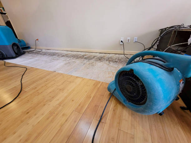 Professional Structural Drying technician working in Von Ormy, TX